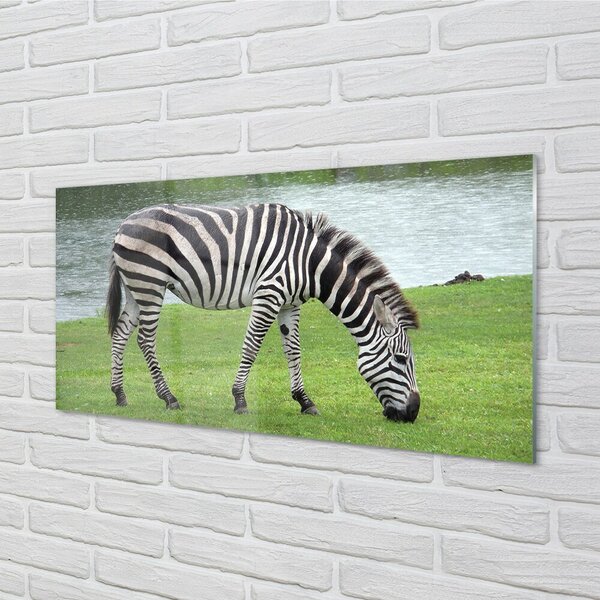 Quadro su vetro Zebra 100x50 cm 2 appendini