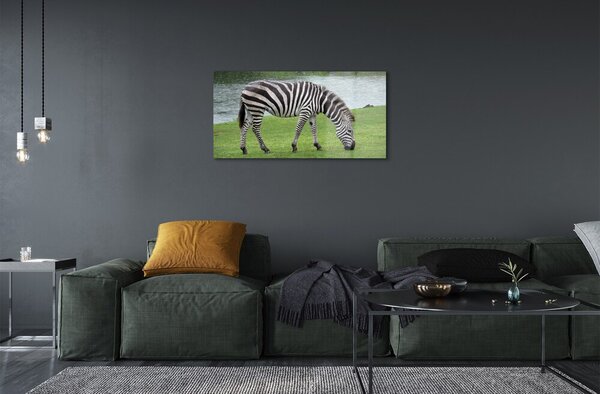 Quadro su vetro Zebra 100x50 cm 2 appendini