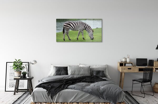 Quadro su vetro Zebra 100x50 cm 2 appendini