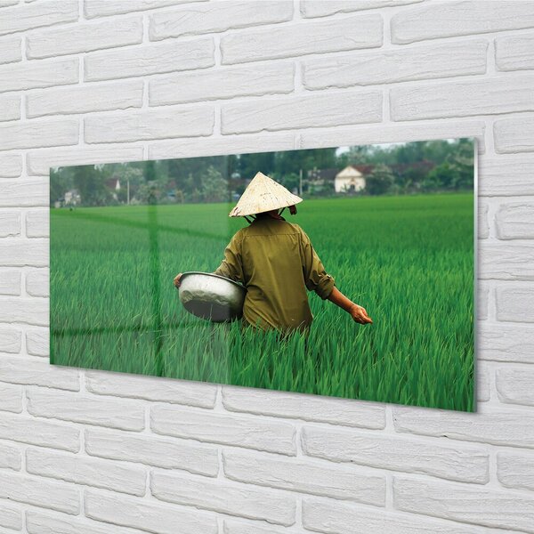 Quadro in vetro Erba mangereccia 100x50 cm 2 appendini