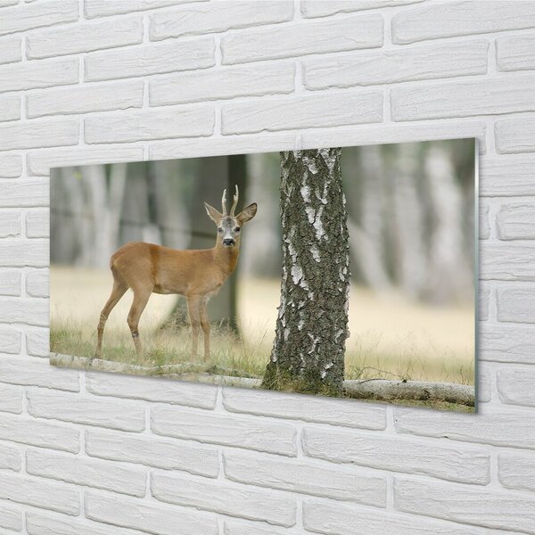 Quadro in vetro Foresta di cervi 100x50 cm 2 appendini