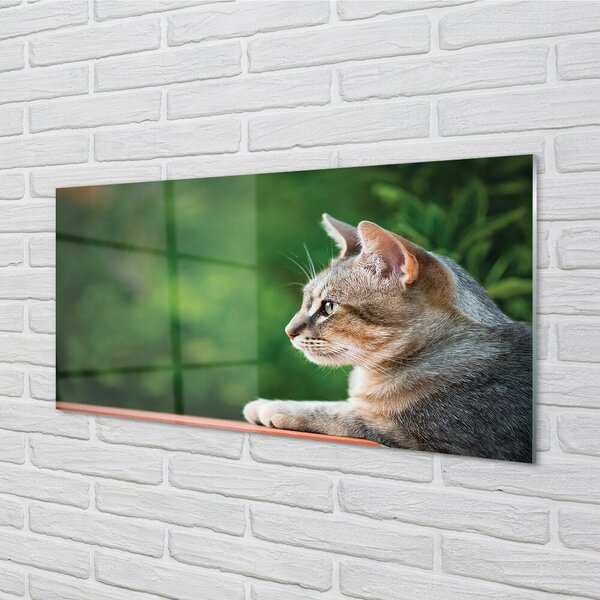 Quadro su vetro Gatto che guarda 100x50 cm 2 appendini