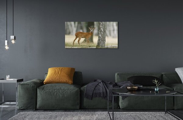 Quadro in vetro Foresta di cervi 100x50 cm 2 appendini