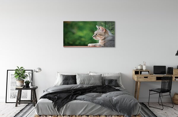 Quadro su vetro Gatto che guarda 100x50 cm 2 appendini