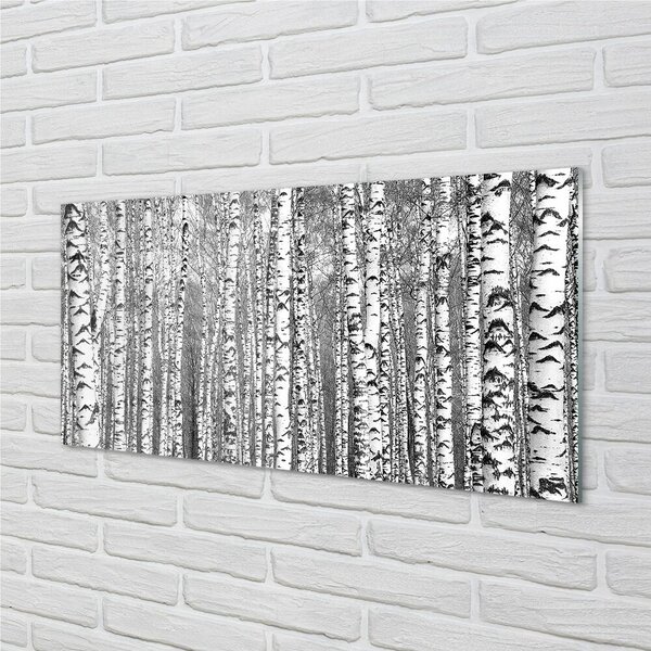 Quadro in vetro Alberi in bianco e nero 100x50 cm 2 appendini