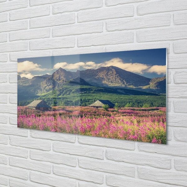 Quadro di vetro Campi di montagna cottage 100x50 cm 2 appendini