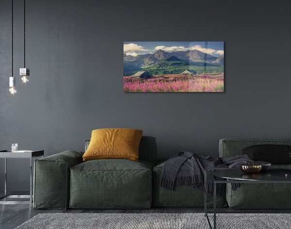 Quadro di vetro Campi di montagna cottage 100x50 cm 2 appendini