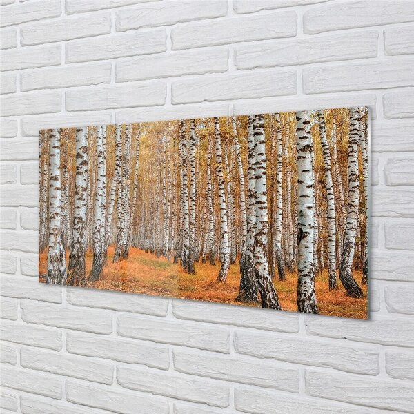 Quadro su vetro Alberi d'autunno 100x50 cm 2 appendini