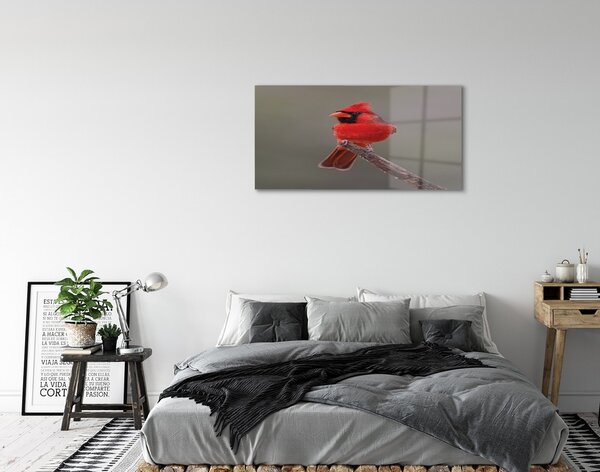 Quadro vetro Pappagallo rosso su un ramo 100x50 cm 2 appendini