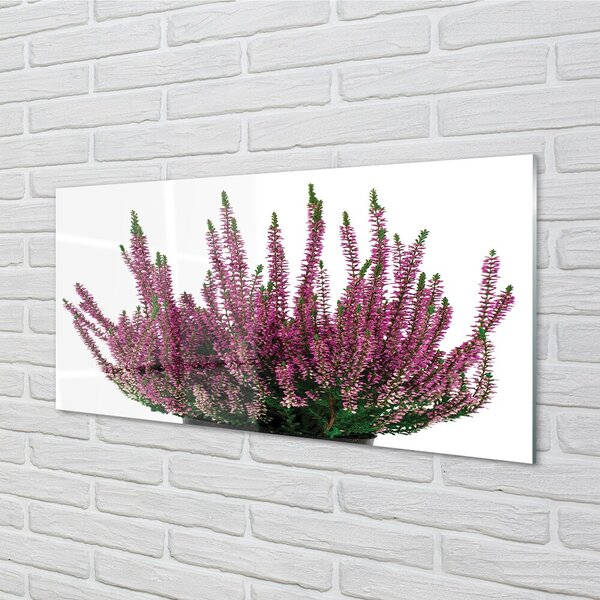 Quadro vetro Heather 100x50 cm 2 appendini
