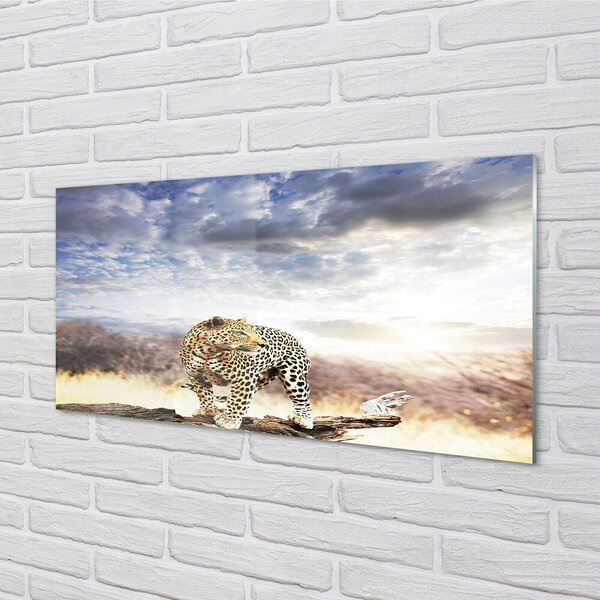 Quadro in vetro Pantera delle nuvole 100x50 cm 2 appendini