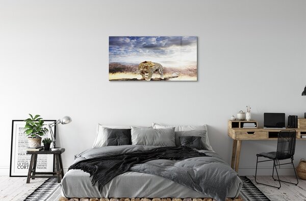 Quadro in vetro Pantera delle nuvole 100x50 cm 2 appendini