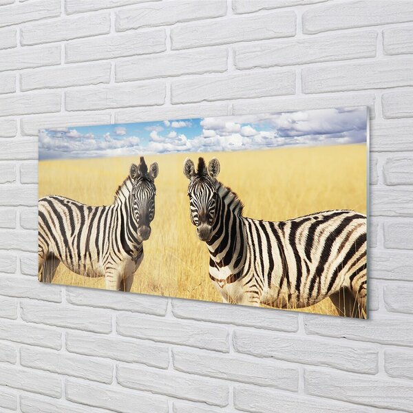 Quadro in vetro Campo zebrato 100x50 cm 2 appendini