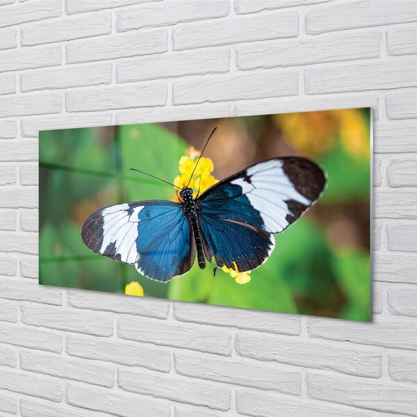 Quadro su vetro Farfalla colorata sui fiori 100x50 cm 2 appendini