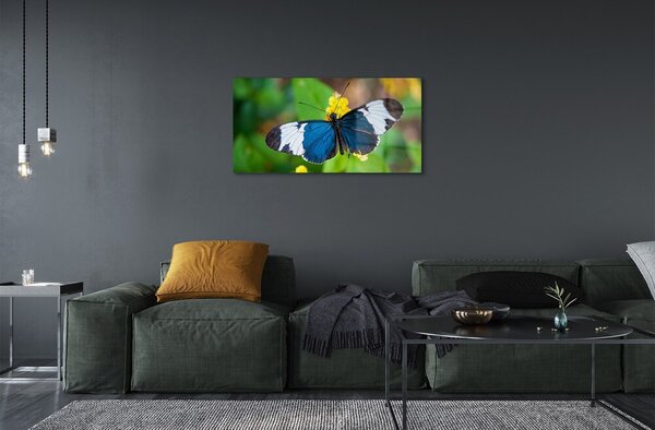 Quadro su vetro Farfalla colorata sui fiori 100x50 cm 2 appendini