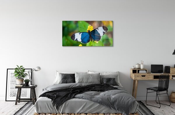 Quadro su vetro Farfalla colorata sui fiori 100x50 cm 2 appendini