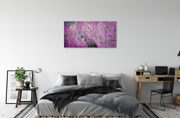 Quadro su vetro Campo di heather 100x50 cm 2 appendini