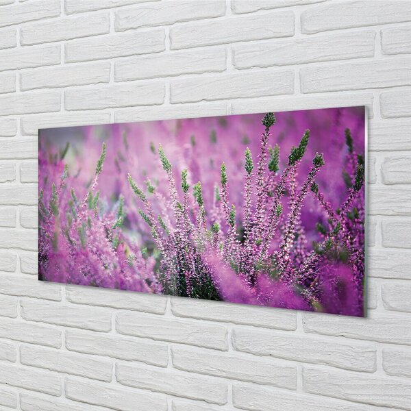 Quadro su vetro Campo di heather 100x50 cm 2 appendini