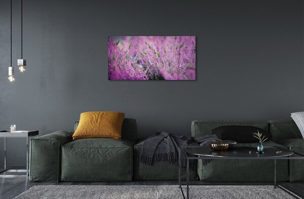 Quadro su vetro Campo di heather 100x50 cm 2 appendini