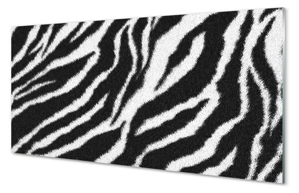 Quadro in vetro Cappotto zebrato 100x50 cm 2 appendini