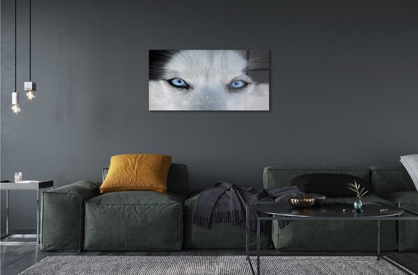 Quadro su vetro Occhi di lupo 100x50 cm 2 appendini