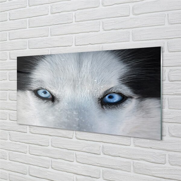 Quadro su vetro Occhi di lupo 100x50 cm 2 appendini