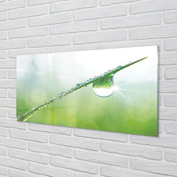 Quadro su vetro Macro goccia d'erba 100x50 cm 2 appendini