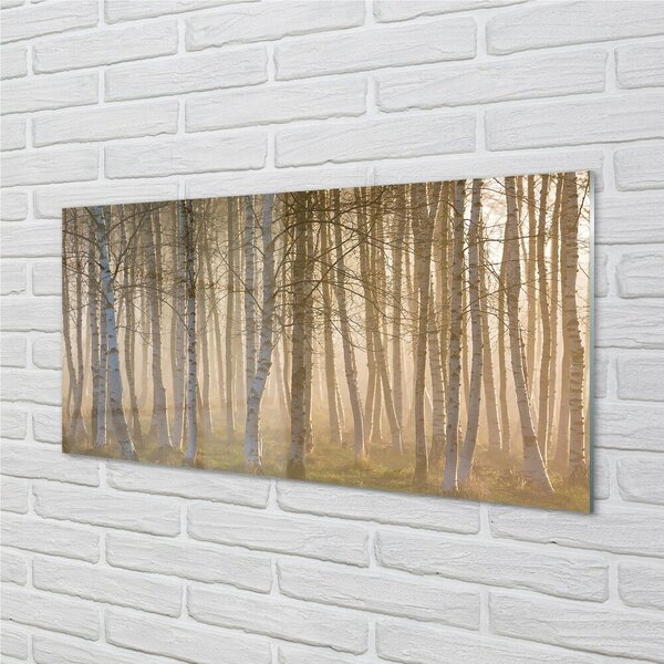 Quadro in vetro Alberi della foresta all'alba 100x50 cm 2 appendini