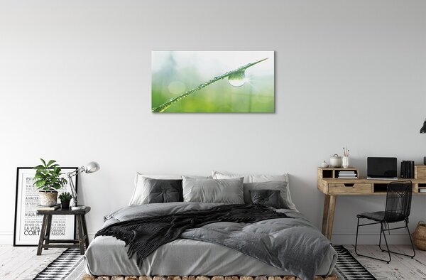 Quadro su vetro Macro goccia d'erba 100x50 cm 2 appendini