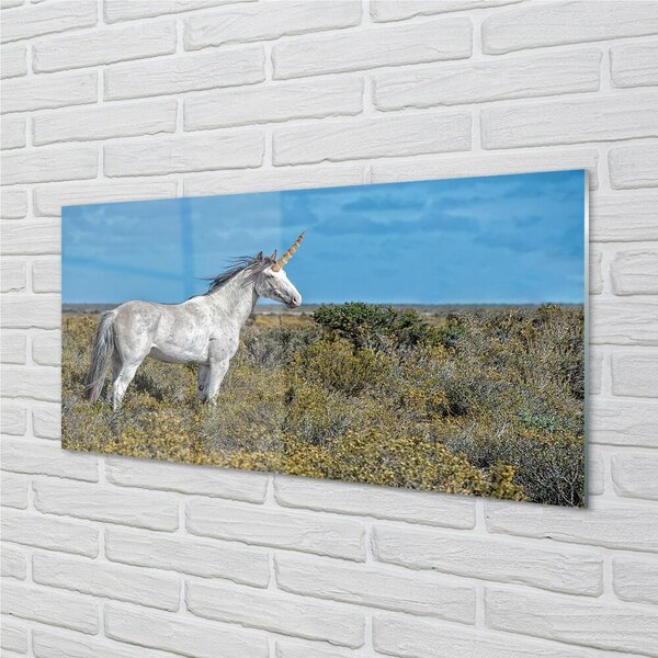 Quadro vetro Campo di unicorno 100x50 cm 2 appendini
