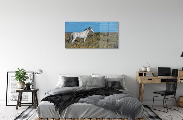 Quadro vetro Campo di unicorno 100x50 cm 2 appendini
