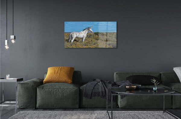 Quadro vetro Campo di unicorno 100x50 cm 2 appendini