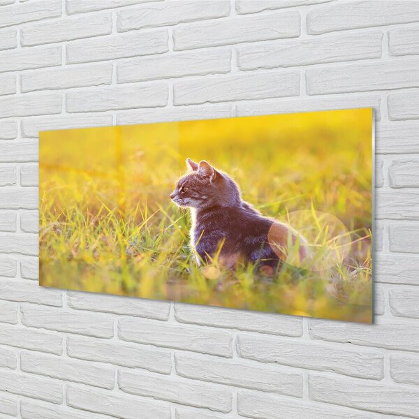 Quadro vetro Gatto da caccia 100x50 cm 2 appendini