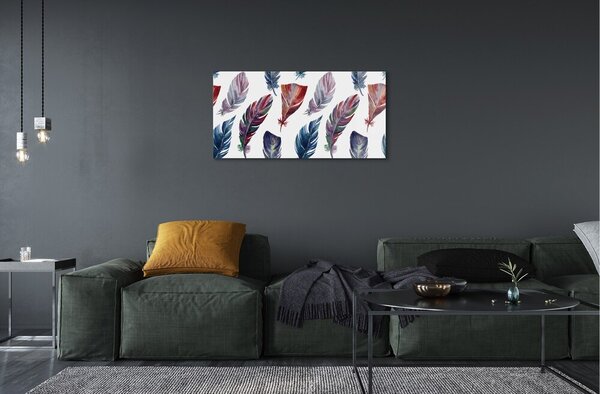Quadro su vetro Piume colorate 100x50 cm 2 appendini