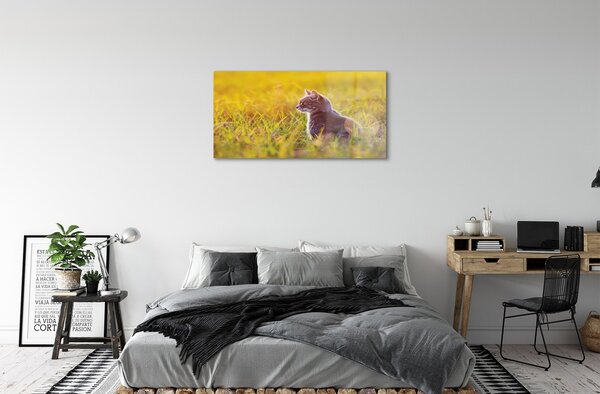Quadro vetro Gatto da caccia 100x50 cm 2 appendini