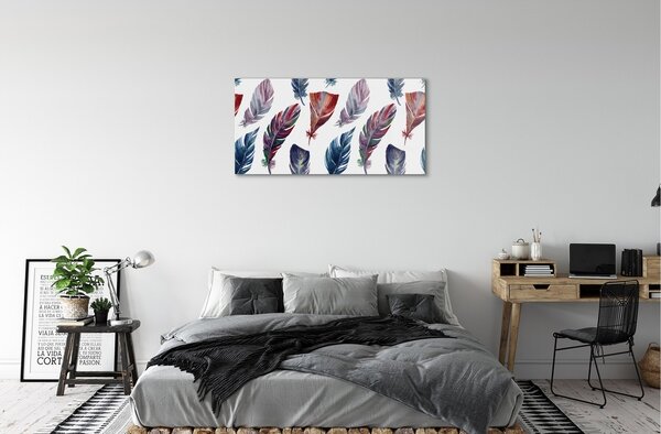 Quadro su vetro Piume colorate 100x50 cm 2 appendini