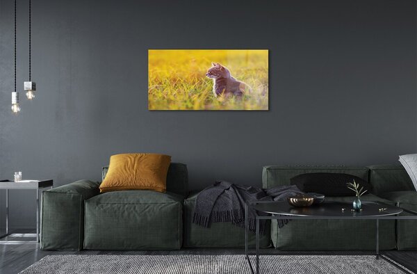 Quadro vetro Gatto da caccia 100x50 cm 2 appendini