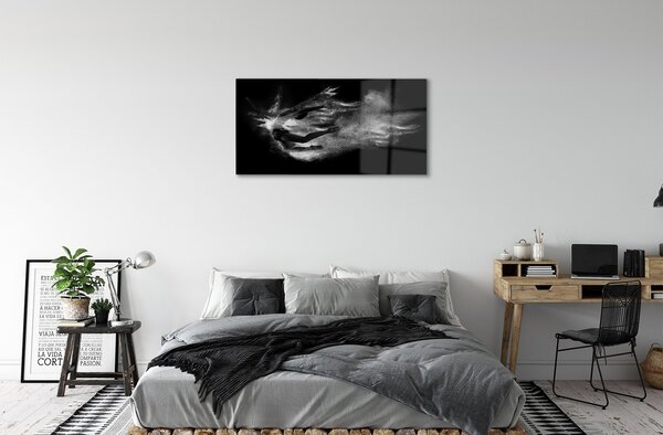 Quadro su vetro Donna balletto fumo sfondo grigio 100x50 cm 2 appendini