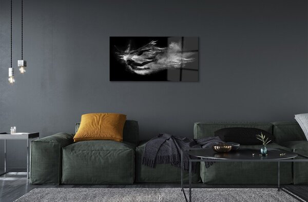 Quadro su vetro Donna balletto fumo sfondo grigio 100x50 cm 2 appendini