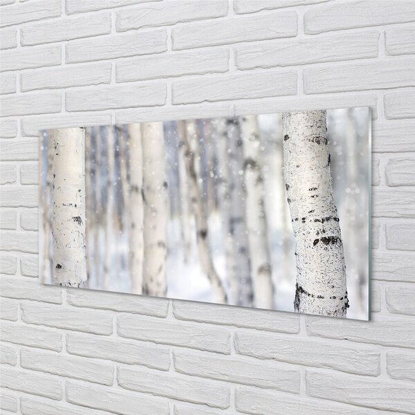 Quadro in vetro Alberi neve invernale 100x50 cm 2 appendini