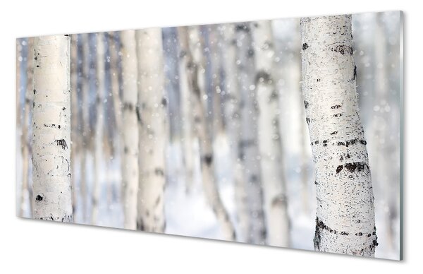Quadro in vetro Alberi neve invernale 100x50 cm