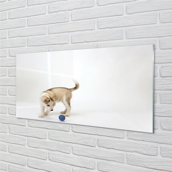 Quadro vetro Cane da gioco 100x50 cm 2 appendini