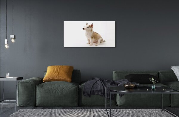 Quadro in vetro Cagnolino seduto 100x50 cm 2 appendini