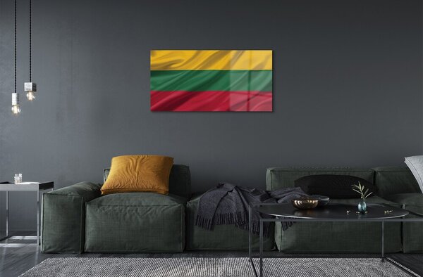 Quadro vetro Bandiera della lituania 100x50 cm 2 appendini