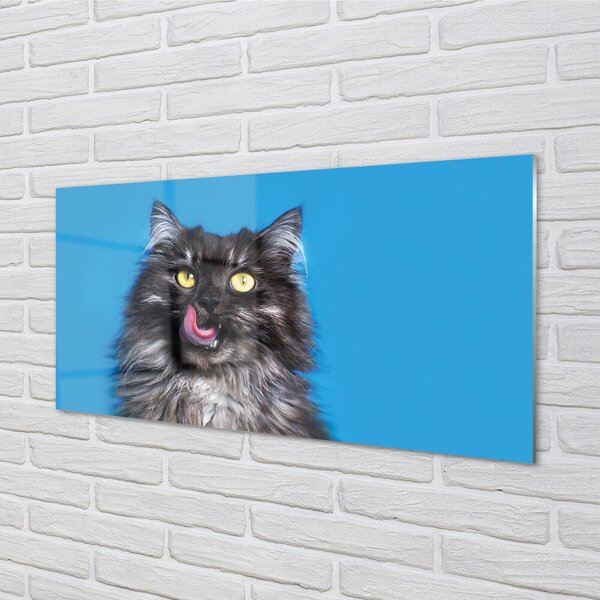 Quadro in vetro Leccare il gatto 100x50 cm 2 appendini