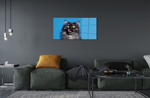 Quadro in vetro Leccare il gatto 100x50 cm 2 appendini