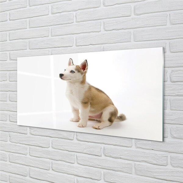 Quadro in vetro Cagnolino seduto 100x50 cm 2 appendini