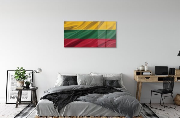 Quadro vetro Bandiera della lituania 100x50 cm 2 appendini