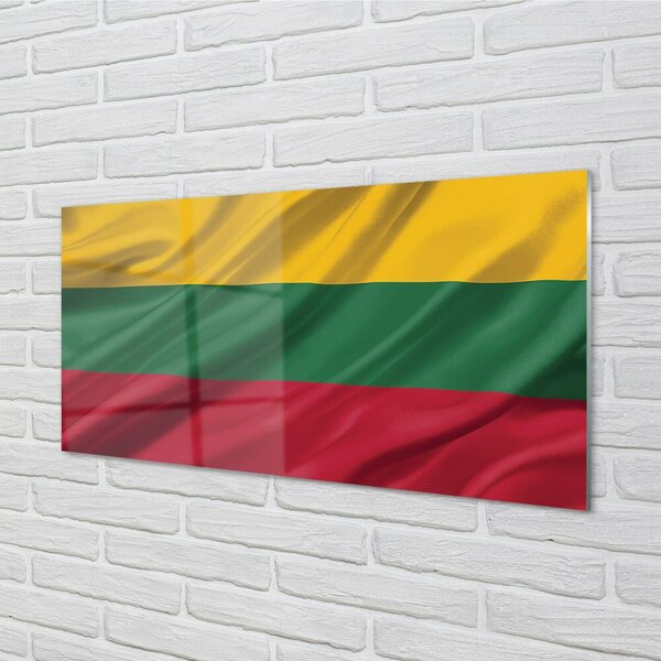Quadro vetro Bandiera della lituania 100x50 cm 2 appendini