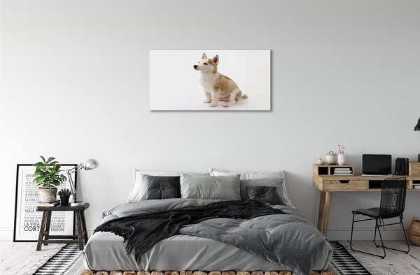 Quadro in vetro Cagnolino seduto 100x50 cm 2 appendini